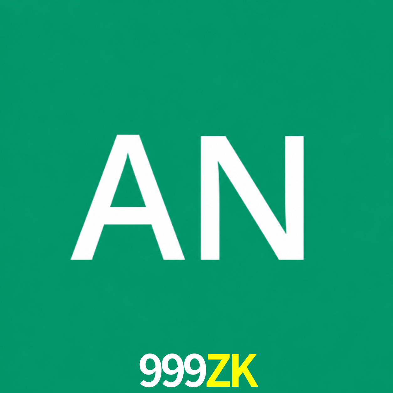Adi Nugroho - Founder & CEO 999ZK Indonesia